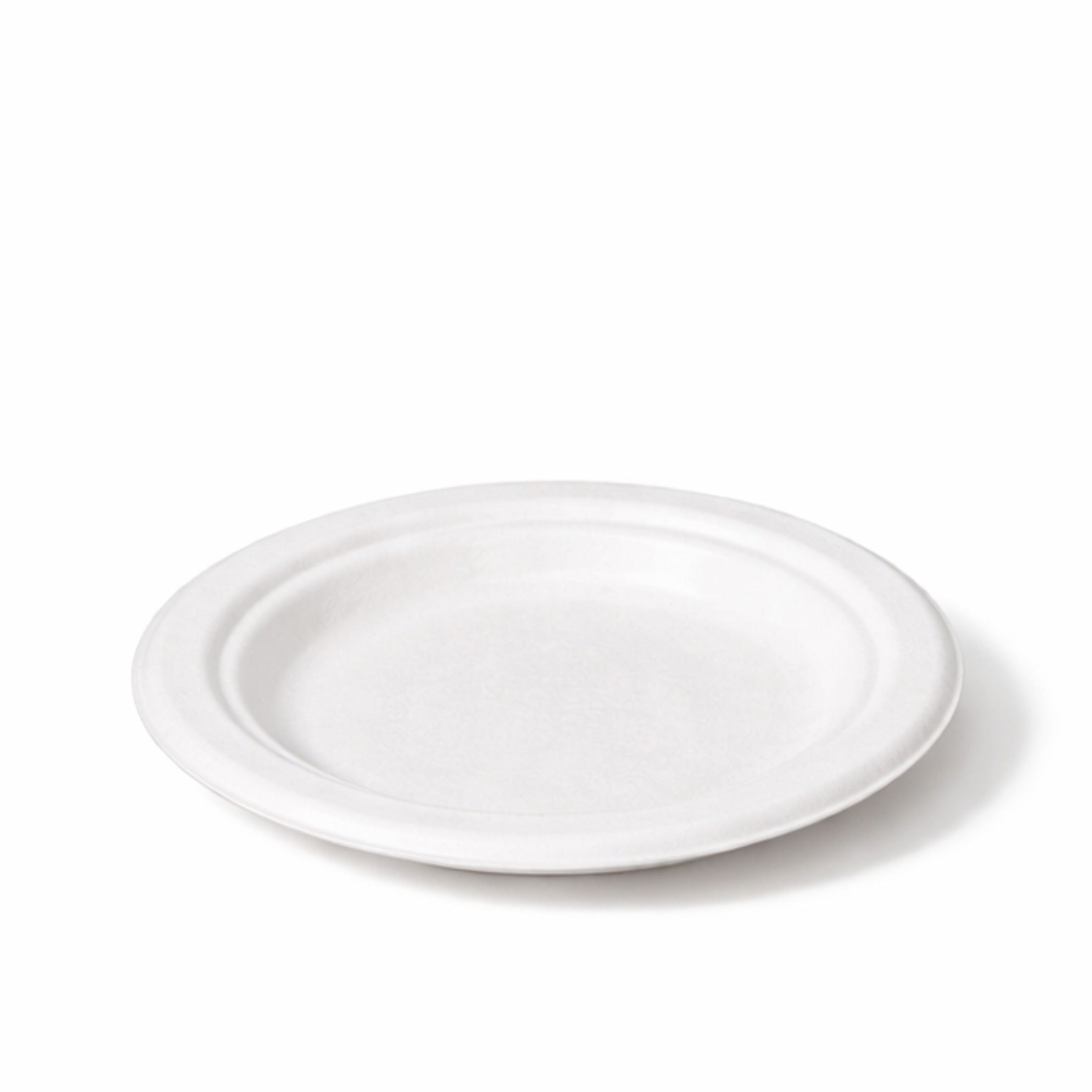 10" Bagasse Round Plates