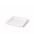 Square Bagasse Plates 20cm