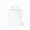 Large White Paper Bags - Flat Handle