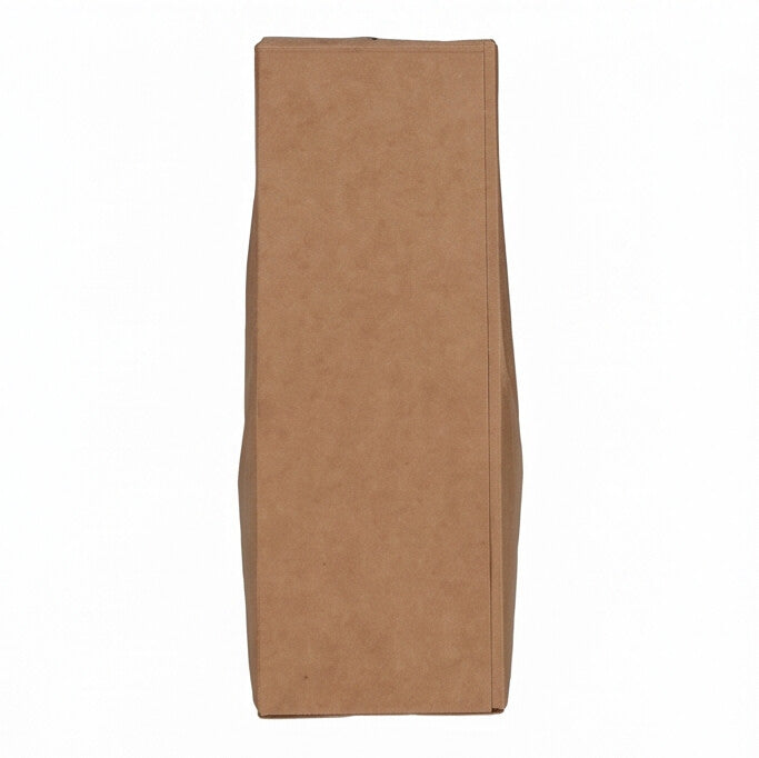 Kraft sandwich wedge box, close-up back view showing tall rectangular kraft panel and natural brown paper construction on white background