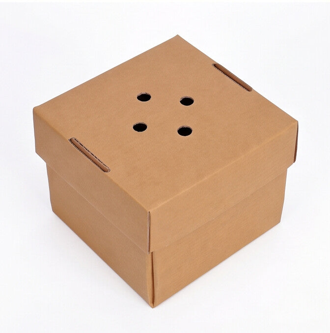 Small gourmet burger box closed, three-quarter angle view showing natural kraft brown corrugated construction with separate vented lid on white background