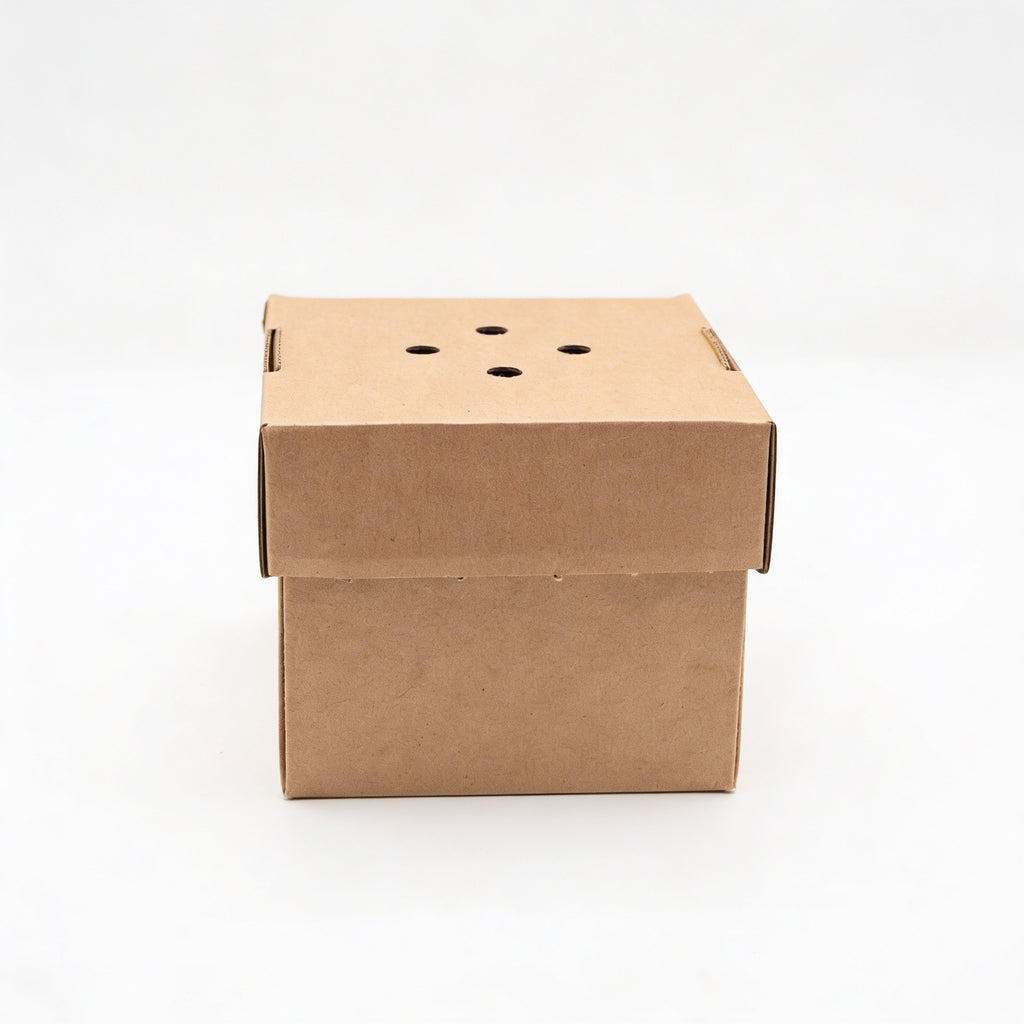 Small gourmet burger box closed, straight front view showing natural kraft brown corrugated box with separate vented lid featuring ventilation holes on white background
