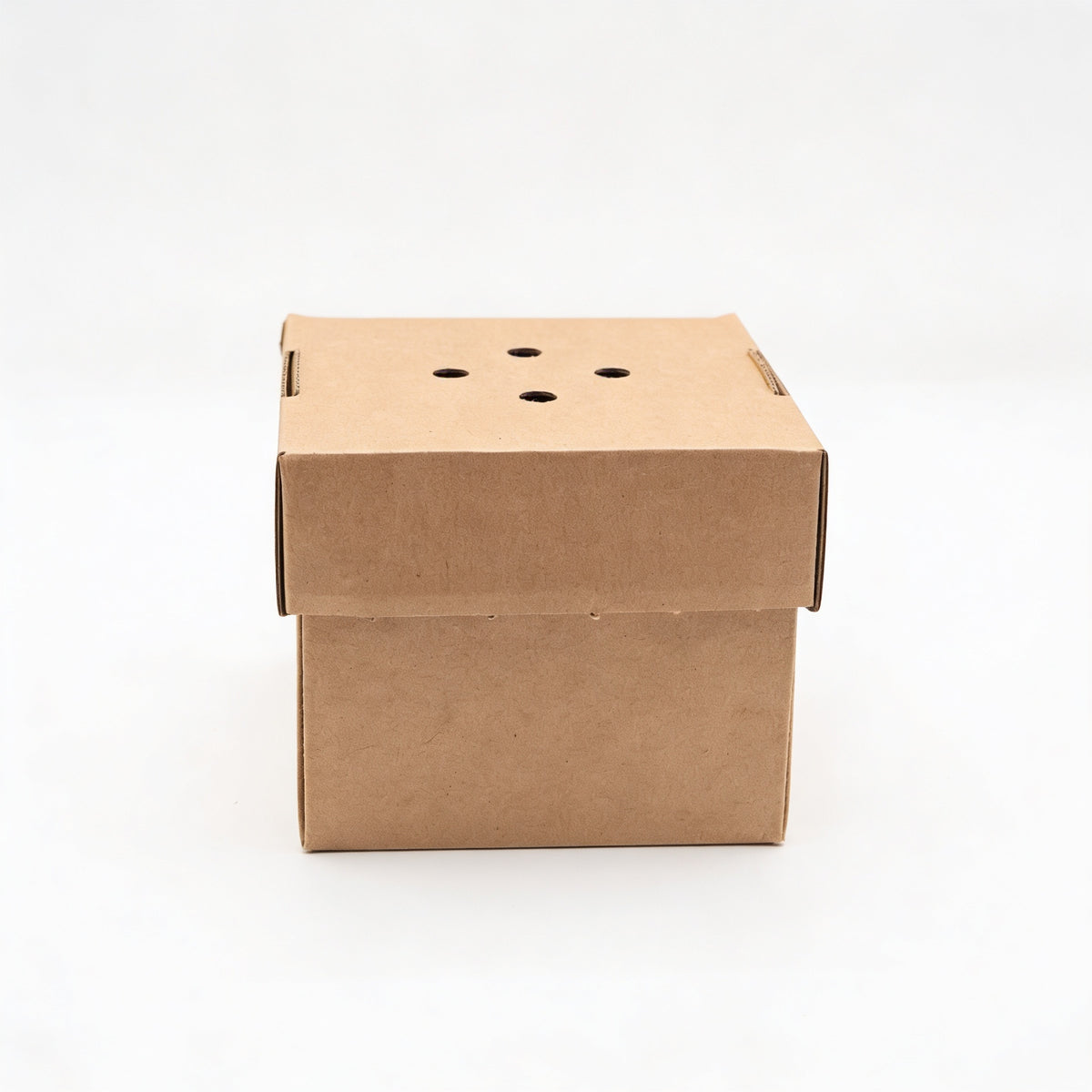 Small gourmet burger box closed, straight front view showing natural kraft brown corrugated box with separate vented lid featuring ventilation holes on white background
