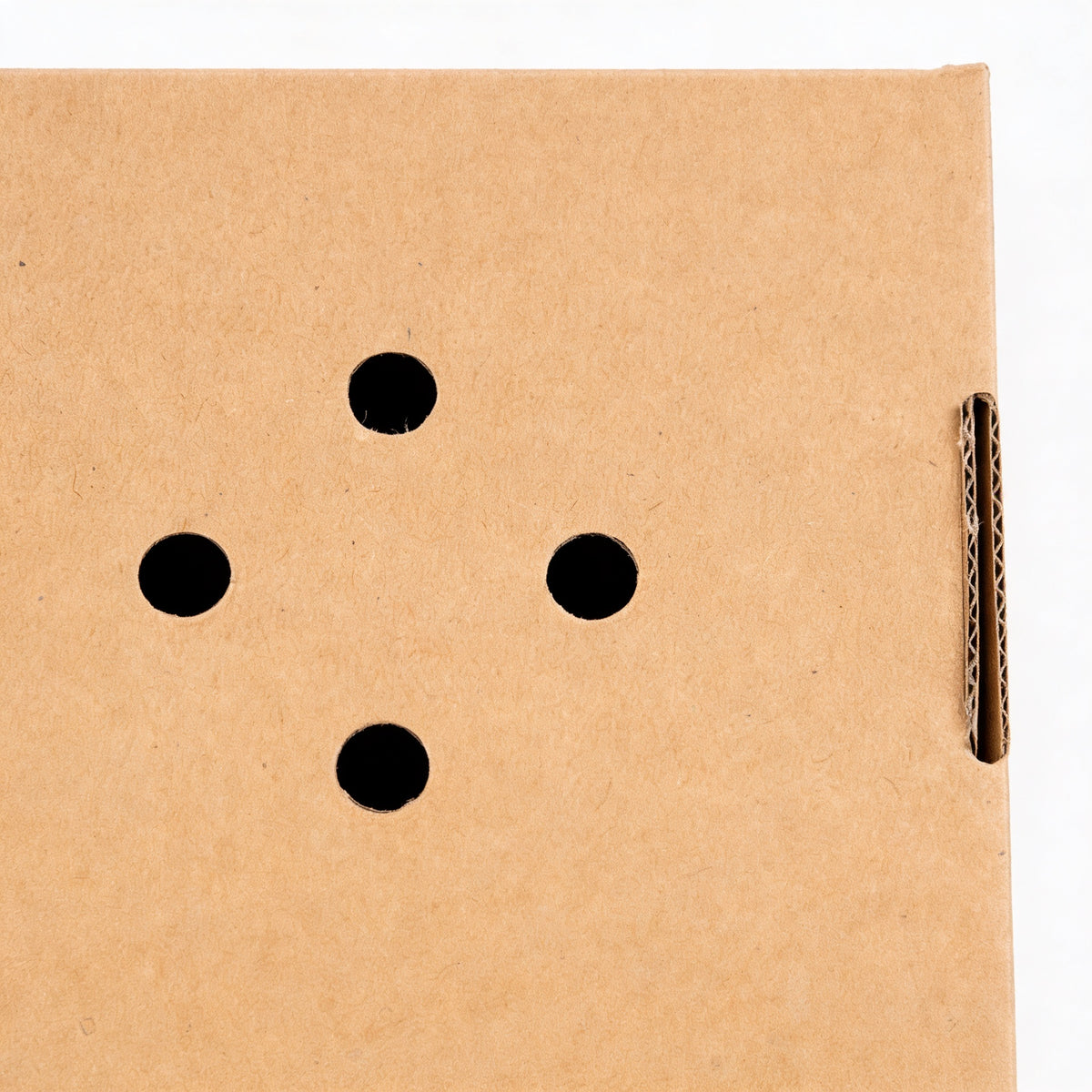 Small gourmet burger box closed, close-up view of vented lid showing four ventilation holes and natural kraft brown corrugated construction detail